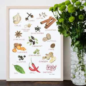 Katie Campbell Illustration Spices