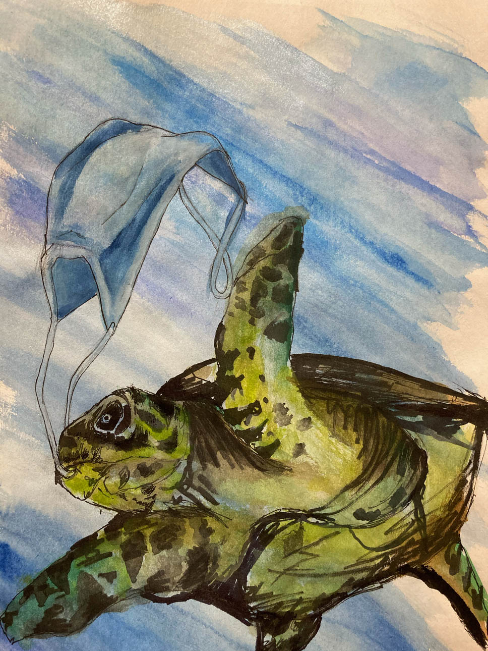 Save The Turtles - Angelina Kimmins