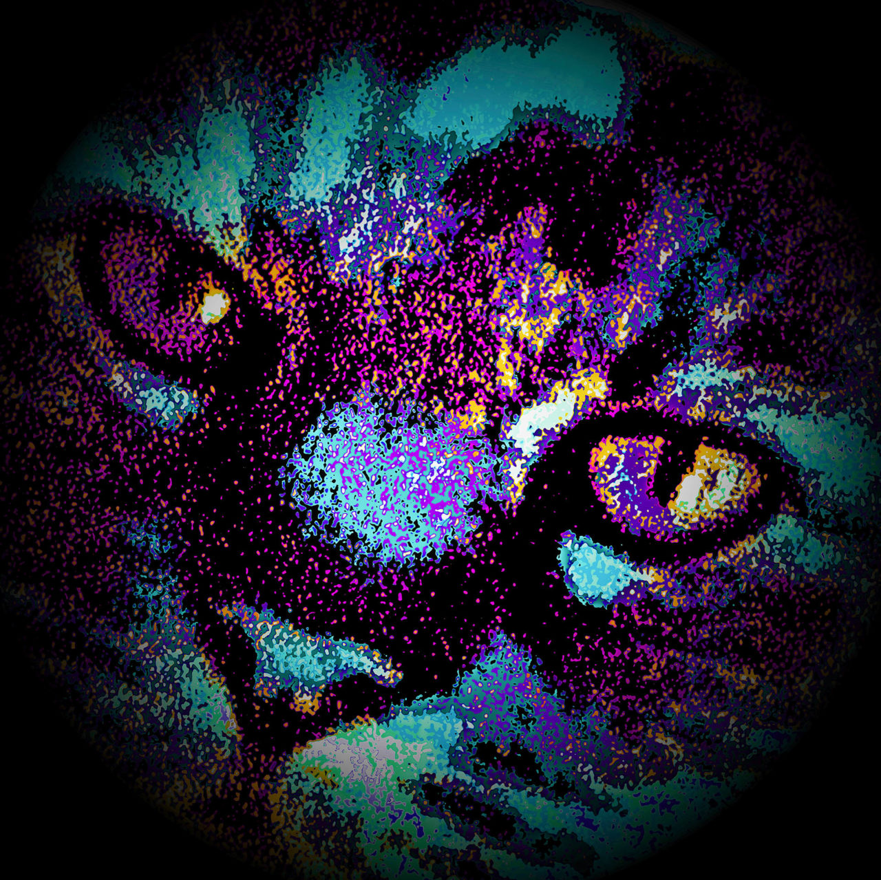 Kali Portrait of a Cat - Annamaria Carfaro