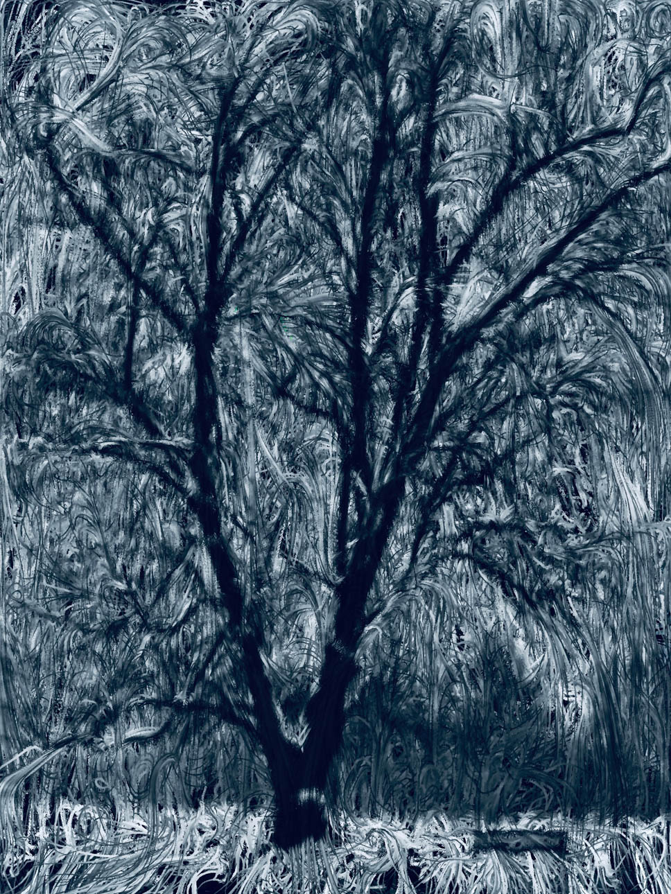 Tree of Twisted Air - Brian VanKorn