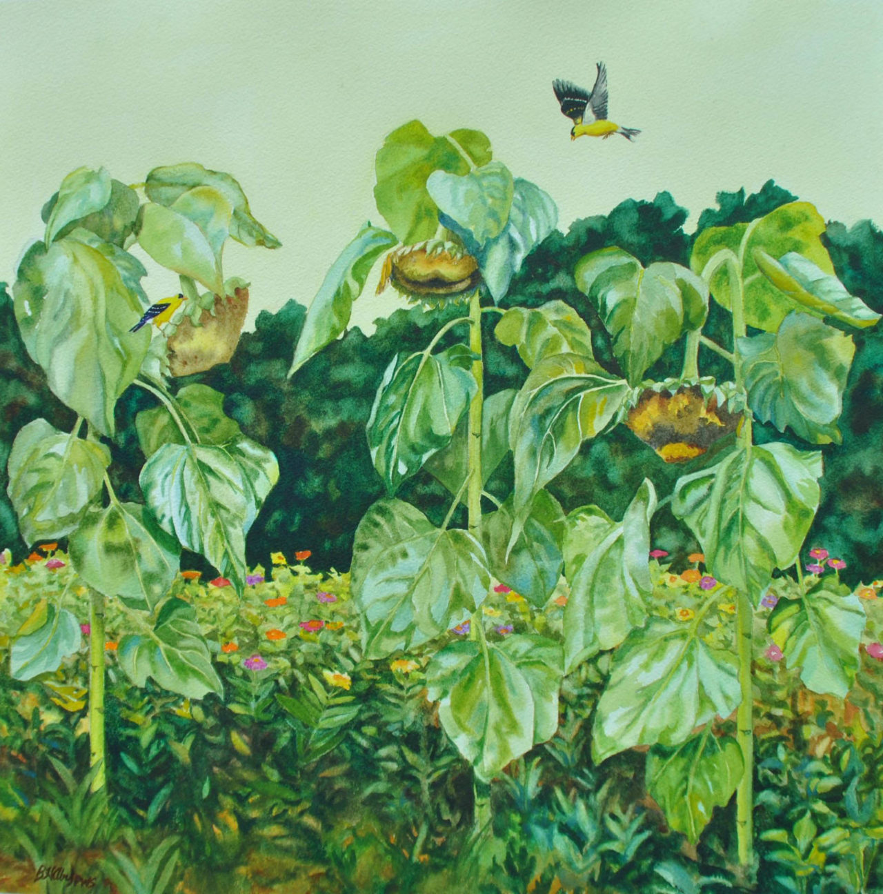 Three Sunflowers - Beverly Abel