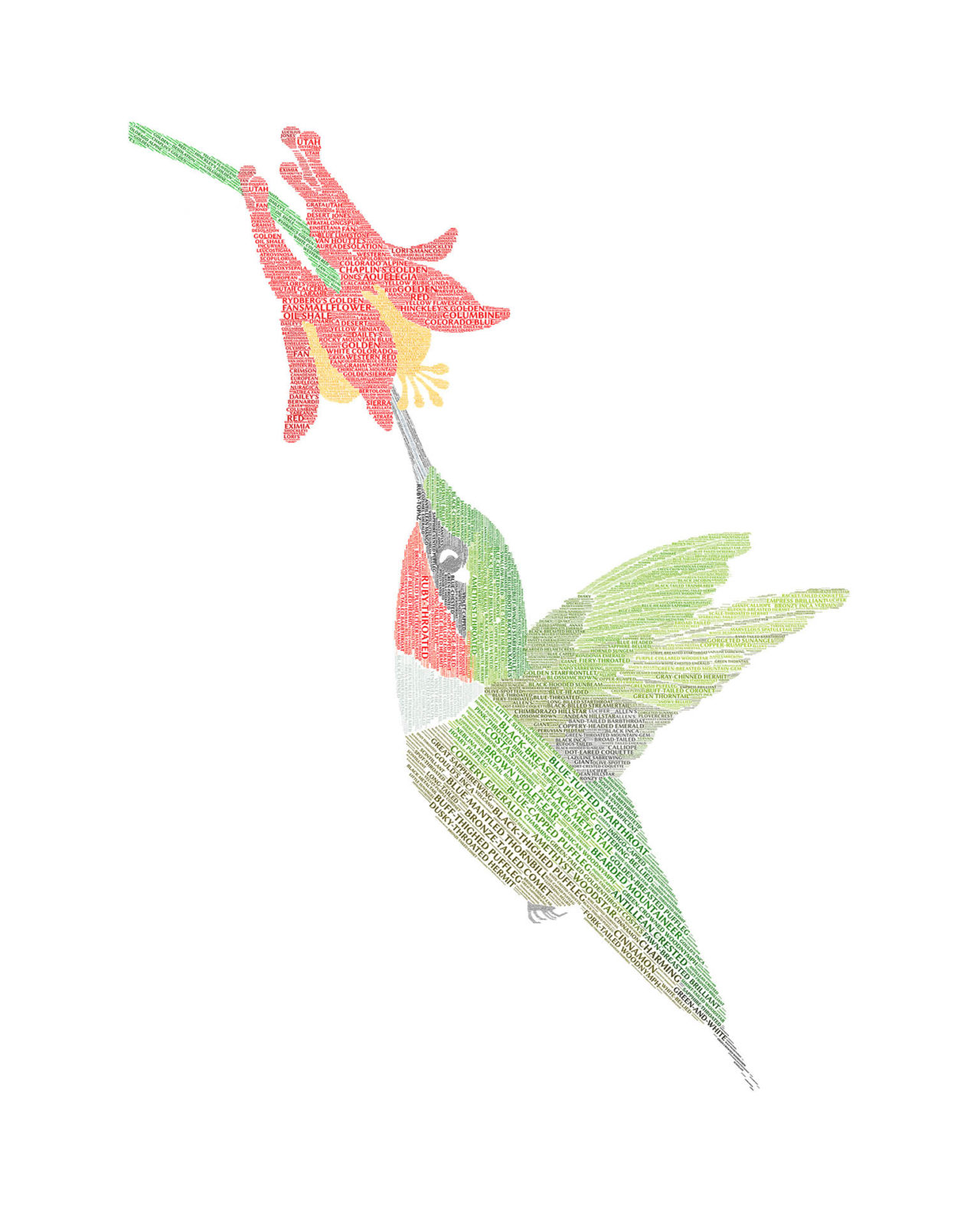 Hummingbird & Columbine - Brooke Jana