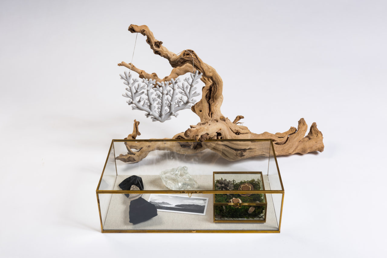 Momento Vitae-Ecological Grief Jewelry - Cora McKenzie