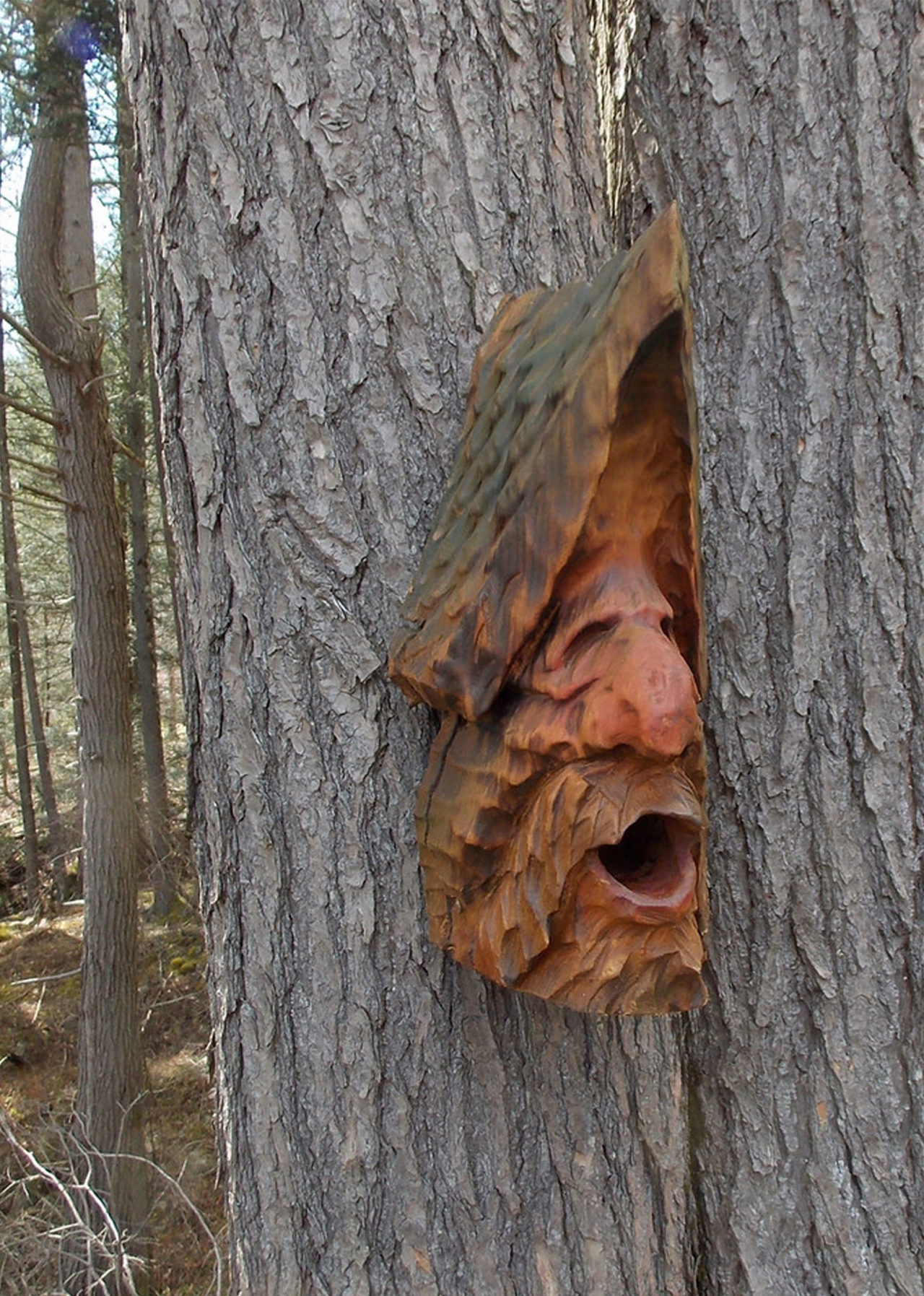 Harnett-Designs-Woodworking-Chainsw-Carved-Birdhouse