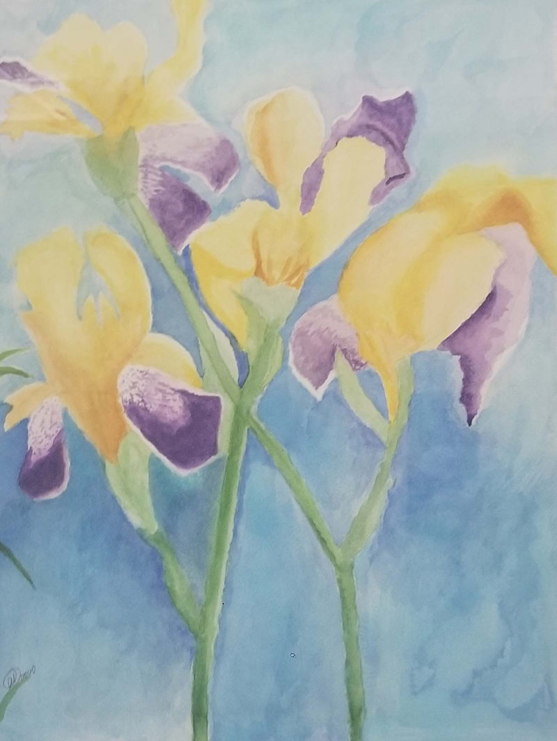 Irises On East Boad Street - Santana