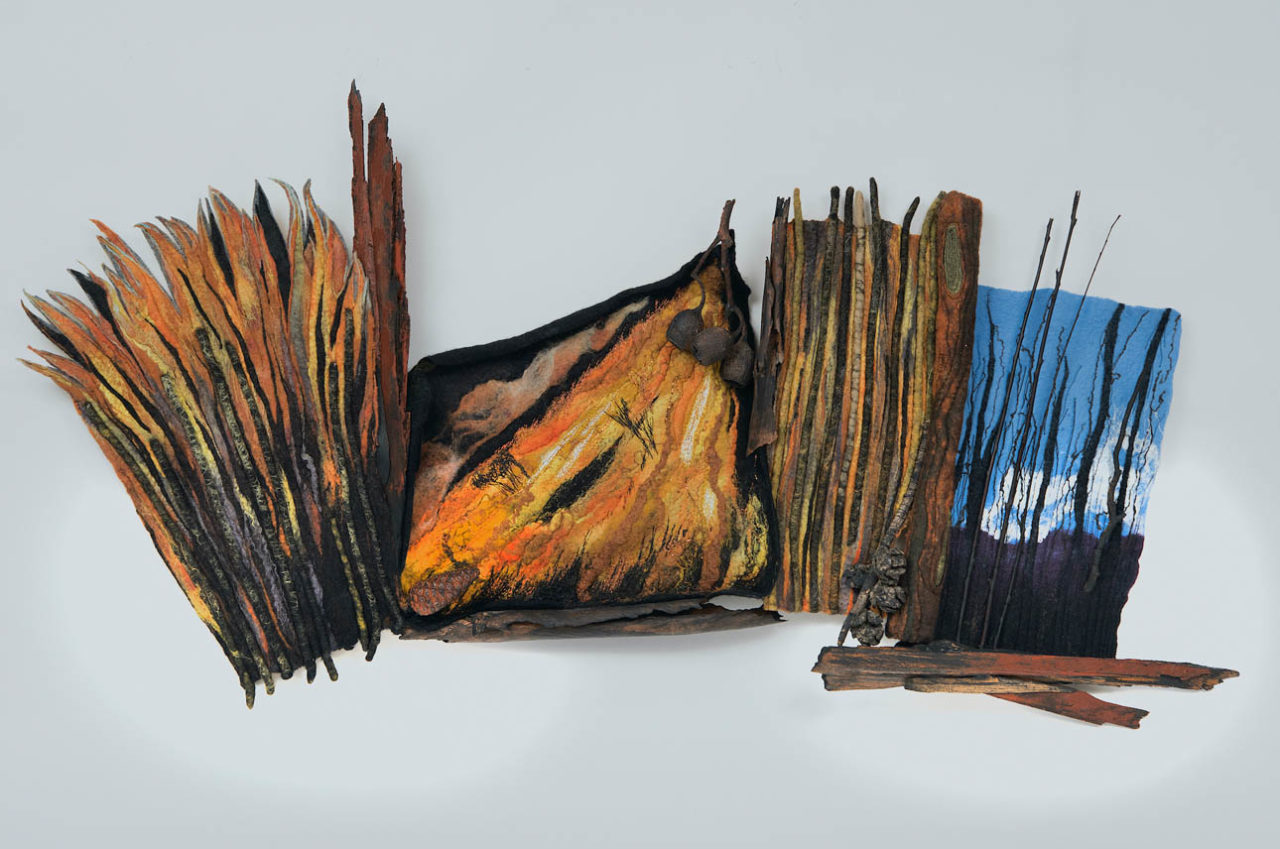 Wildfire - Linda Brooks Hirschman