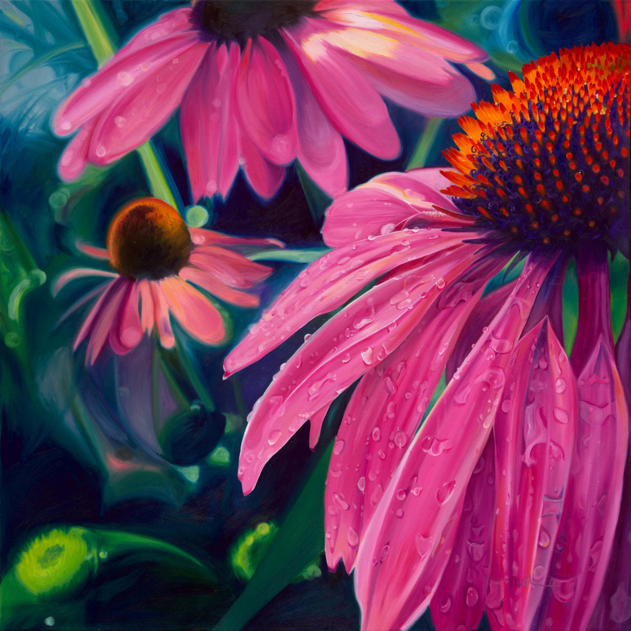 Coneflower #1 - Michelle Christopher