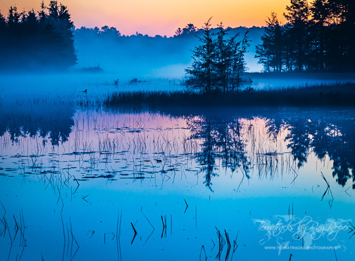 Ray Roper, Photographer